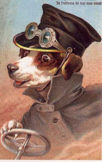 Beagle Driving Print - German