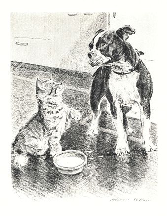 Boston Terrier w/Cat Print - Morgan Dennis