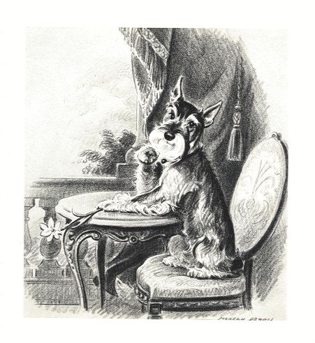 Schnauzer Print - Morgan Dennis