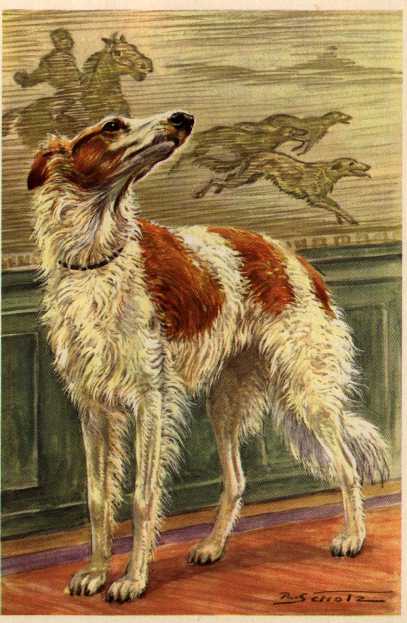 Borzoi Print - German